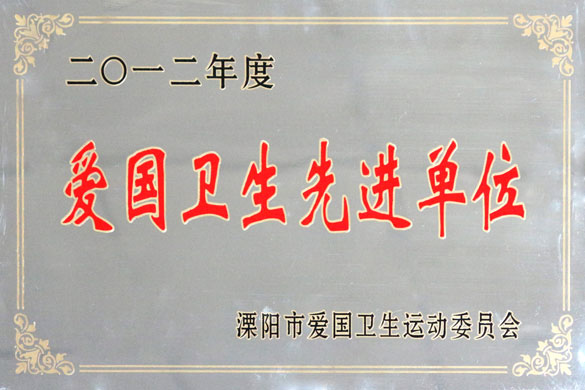 鸿运国际被评为“2012年度爱国卫生先进单位”