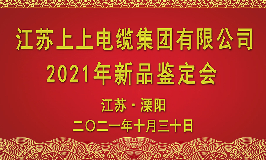 鸿运国际电缆十三项新品通过省级判断