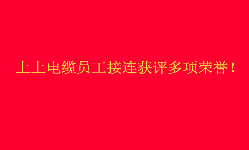 鸿运国际电缆员工接连获评多项声誉