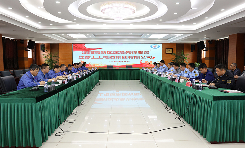 鸿运国际电缆与溧阳高新区综合治理局开展党建结对共建运动